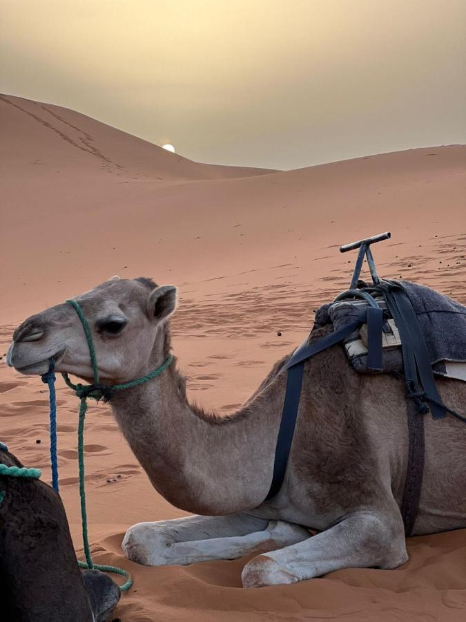 Riad Aicha & Camel Trekking Мерзуга Экстерьер фото