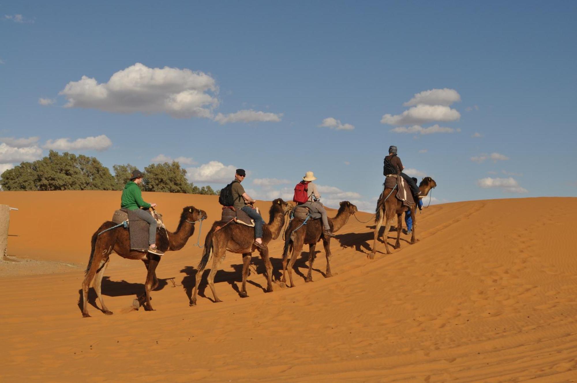 Riad Aicha & Camel Trekking Мерзуга Экстерьер фото
